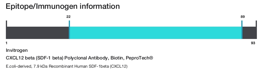 CXCL12 beta (SDF-1 beta) Polyclonal Antibody, Biotin, PeproTech&reg;