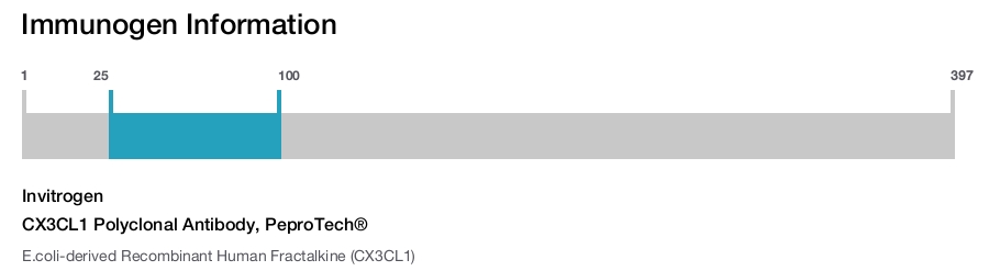 CX3CL1 Polyclonal Antibody, PeproTech®
