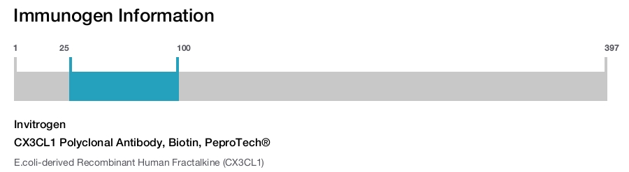 CX3CL1 Polyclonal Antibody, Biotin, PeproTech&reg;