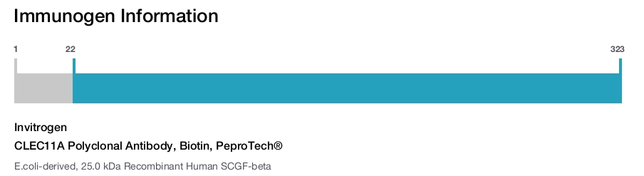 CLEC11A Polyclonal Antibody, Biotin, PeproTech&reg;