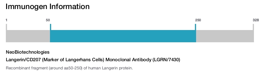 Langerin/CD207 (Marker of Langerhans Cells) Monoclonal Antibody (LGRN/7430)