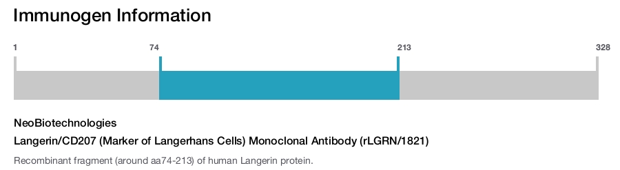 Langerin/CD207 (Marker of Langerhans Cells) Monoclonal Antibody (rLGRN/1821)