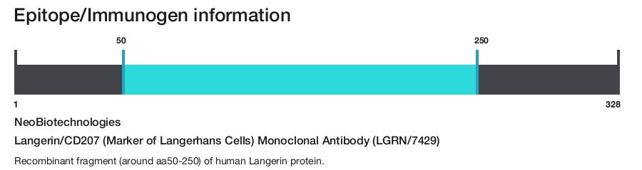 Langerin/CD207 (Marker of Langerhans Cells) Monoclonal Antibody (LGRN/7429)