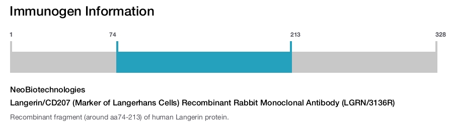 Langerin/CD207 (Marker of Langerhans Cells) Recombinant Rabbit Monoclonal Antibody (LGRN/3136R)