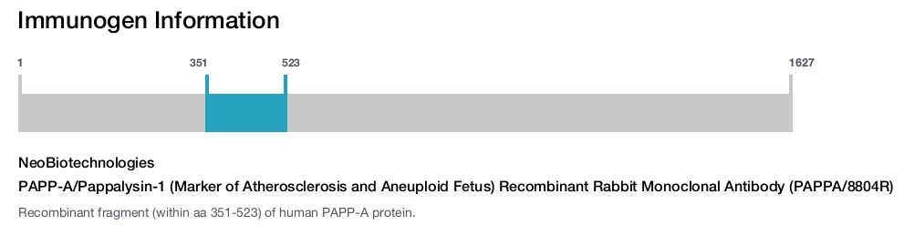 PAPP-A/Pappalysin-1 (Marker of Atherosclerosis and Aneuploid Fetus) Recombinant Rabbit Monoclonal Antibody (PAPPA/8804R)