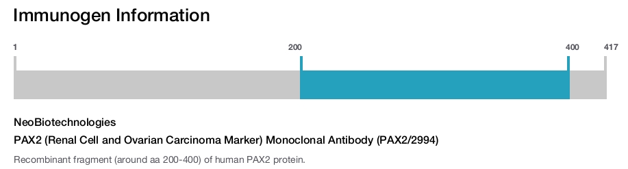 PAX2 (Renal Cell and Ovarian Carcinoma Marker) Monoclonal Antibody (PAX2/2994)