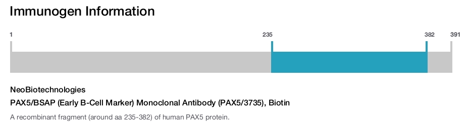 PAX5/BSAP (Early B-Cell Marker) Monoclonal Antibody (PAX5/3735), Biotin