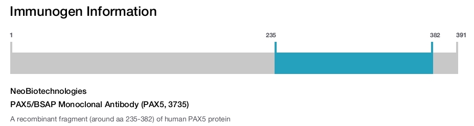 PAX5/BSAP Monoclonal Antibody (PAX5, 3735)