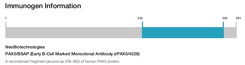 PAX5/BSAP (Early B-Cell Marker) Monoclonal Antibody (rPAX5/4228)