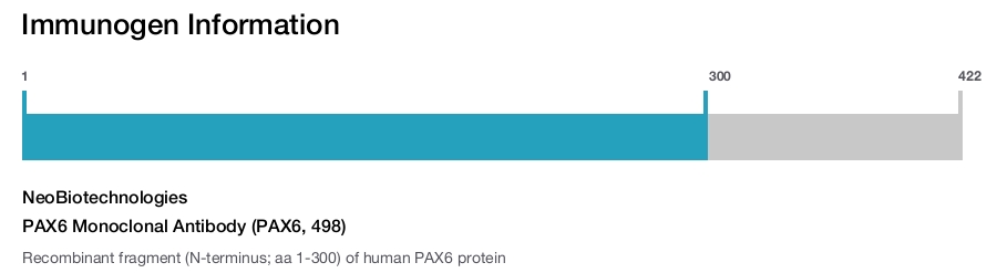 PAX6 Monoclonal Antibody (PAX6, 498)