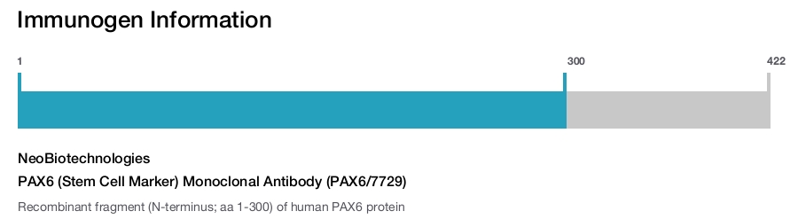 PAX6 (Stem Cell Marker) Monoclonal Antibody (PAX6/7729)