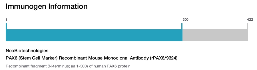 PAX6 (Stem Cell Marker) Recombinant Mouse Monoclonal Antibody (rPAX6/9324)