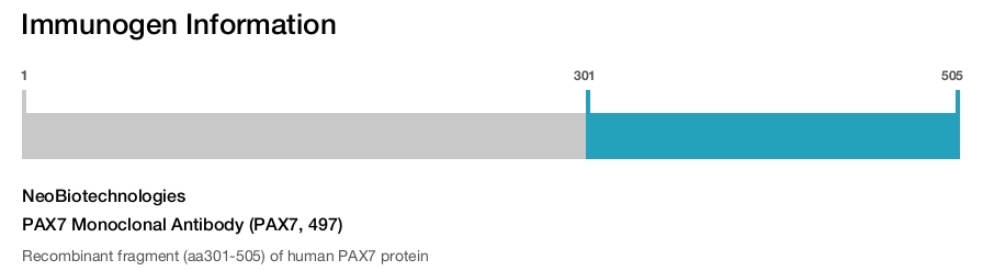 PAX7 Monoclonal Antibody (PAX7, 497)
