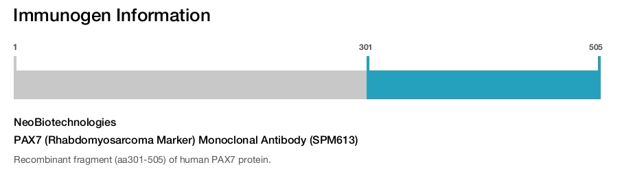 PAX7 (Rhabdomyosarcoma Marker) Monoclonal Antibody (SPM613)