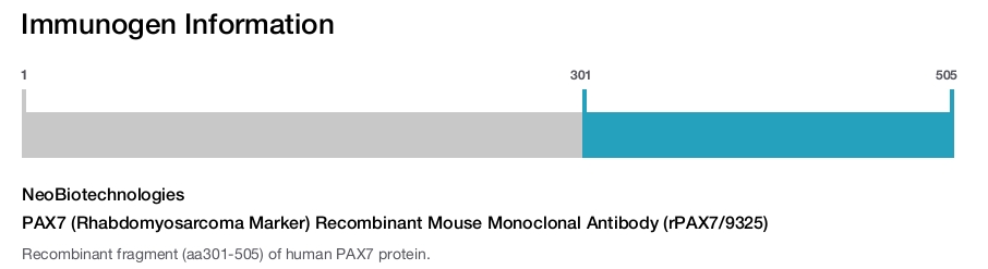 PAX7 (Rhabdomyosarcoma Marker) Recombinant Mouse Monoclonal Antibody (rPAX7/9325)