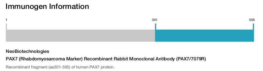 PAX7 (Rhabdomyosarcoma Marker) Recombinant Rabbit Monoclonal Antibody (PAX7/7079R)
