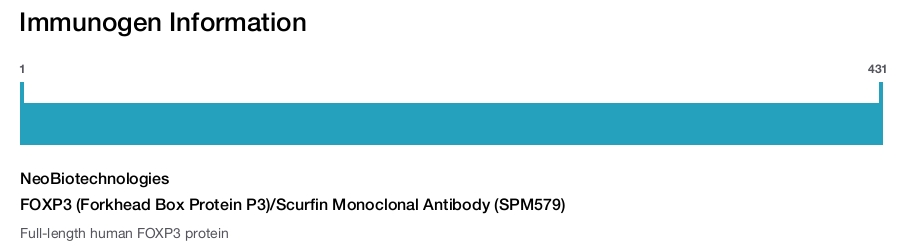FOXP3 (Forkhead Box Protein P3)/Scurfin Monoclonal Antibody (SPM579)
