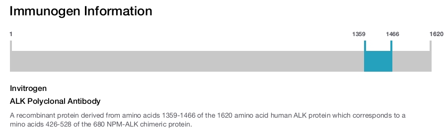 ALK Polyclonal Antibody