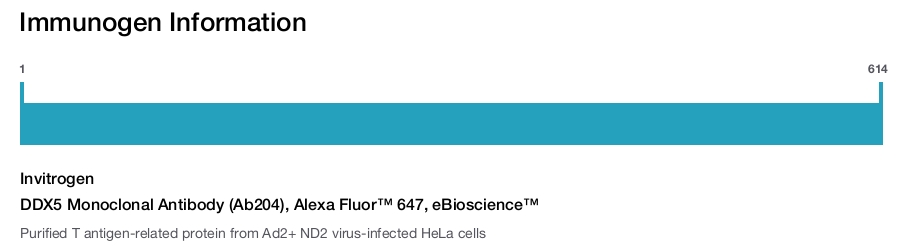 DDX5 Monoclonal Antibody (Ab204), Alexa Fluor™ 647, eBioscience™