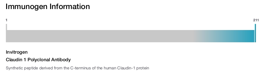 Claudin 1 Polyclonal Antibody