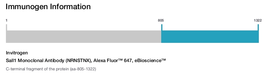 Sall1 Monoclonal Antibody (NRNSTNX), Alexa Fluor™ 647, eBioscience™