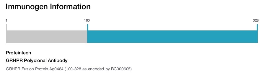GRHPR Polyclonal Antibody