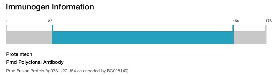Prnd Polyclonal Antibody