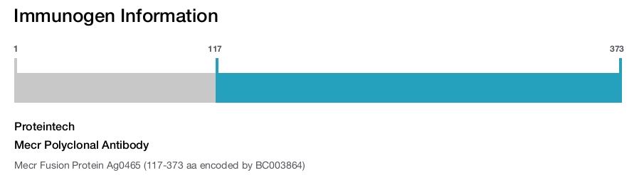 Mecr Polyclonal Antibody