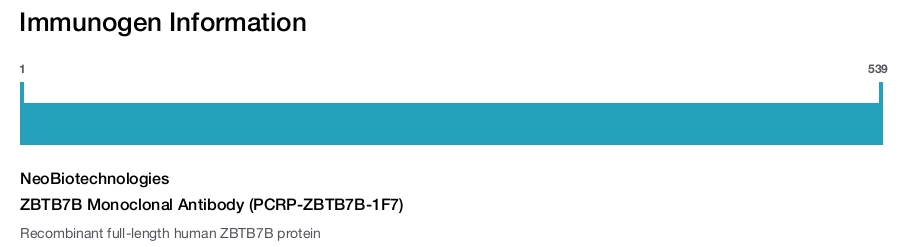 ZBTB7B Monoclonal Antibody (PCRP-ZBTB7B-1F7)