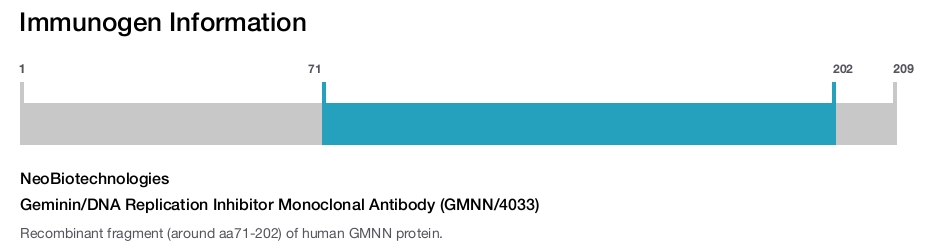 Geminin/DNA Replication Inhibitor Monoclonal Antibody (GMNN/4033)