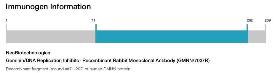 Geminin/DNA Replication Inhibitor Recombinant Rabbit Monoclonal Antibody (GMNN/7037R)