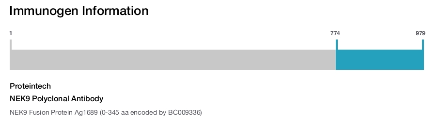 NEK9 Polyclonal Antibody