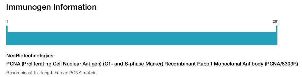 PCNA (Proliferating Cell Nuclear Antigen) (G1- and S-phase Marker) Recombinant Rabbit Monoclonal Antibody (PCNA/8303R)