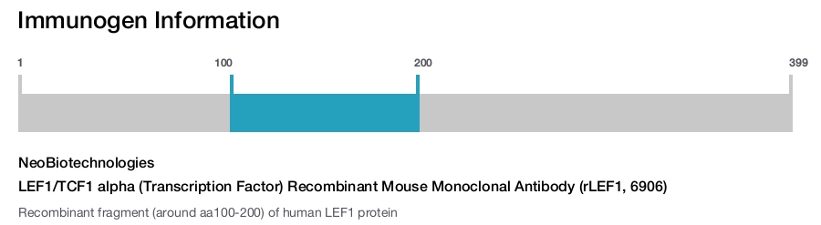 LEF1/TCF1 alpha (Transcription Factor) Recombinant Mouse Monoclonal Antibody (rLEF1, 6906)