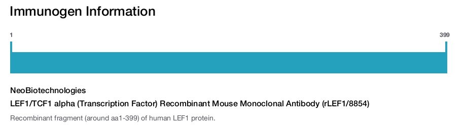 LEF1/TCF1 alpha (Transcription Factor) Recombinant Mouse Monoclonal Antibody (rLEF1/8854)