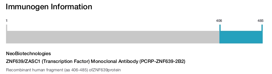 ZNF639/ZASC1 (Transcription Factor) Monoclonal Antibody (PCRP-ZNF639-2B2)