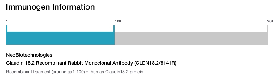 Claudin 18.2 Recombinant Rabbit Monoclonal Antibody (CLDN18.2/8141R)