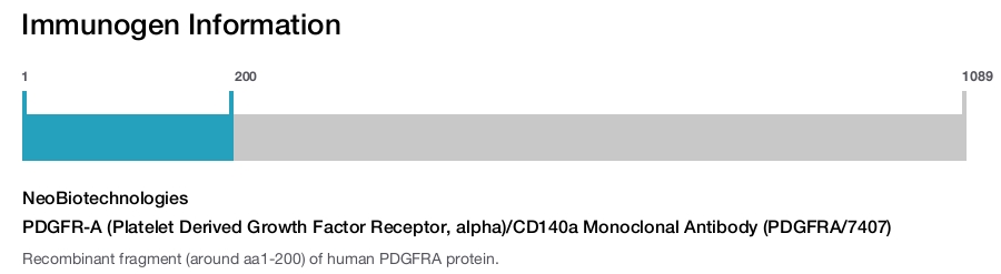 PDGFR-A (Platelet Derived Growth Factor Receptor, alpha)/CD140a Monoclonal Antibody (PDGFRA/7407)