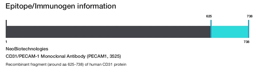 CD31/PECAM-1 Monoclonal Antibody (PECAM1, 3525)