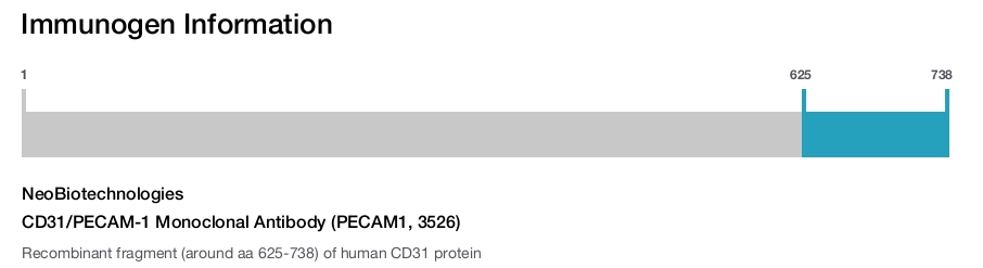 CD31/PECAM-1 Monoclonal Antibody (PECAM1, 3526)