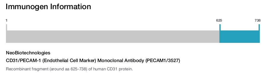 CD31/PECAM-1 (Endothelial Cell Marker) Monoclonal Antibody (PECAM1/3527)