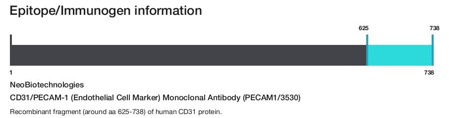 CD31/PECAM-1 (Endothelial Cell Marker) Monoclonal Antibody (PECAM1/3530)