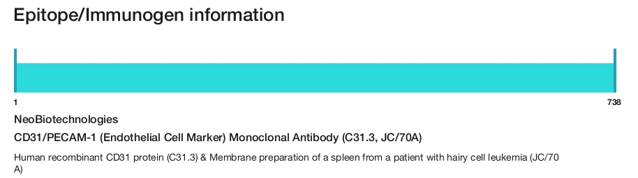 CD31/PECAM-1 (Endothelial Cell Marker) Monoclonal Antibody (C31.3, JC/70A)