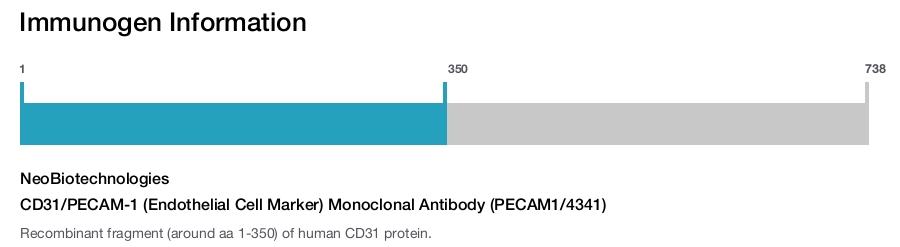 CD31/PECAM-1 (Endothelial Cell Marker) Monoclonal Antibody (PECAM1/4341)