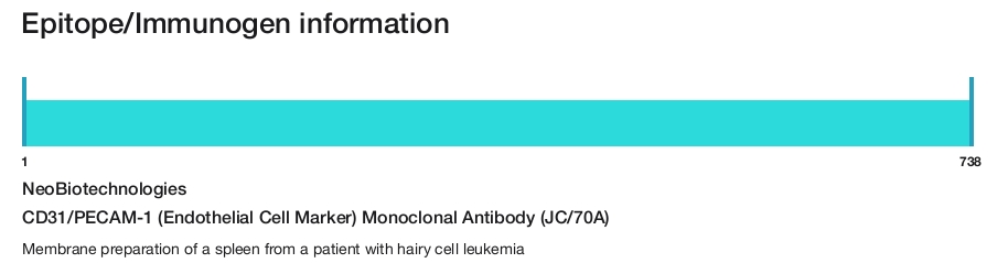 CD31/PECAM-1 (Endothelial Cell Marker) Monoclonal Antibody (JC/70A)