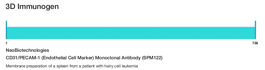 CD31/PECAM-1 (Endothelial Cell Marker) Monoclonal Antibody (SPM122)
