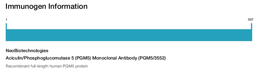Aciculin/Phosphoglucomutase 5 (PGM5) Monoclonal Antibody (PGM5/3552)
