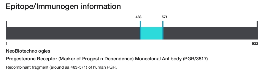 Progesterone Receptor (Marker of Progestin Dependence) Monoclonal Antibody (PGR/3817)