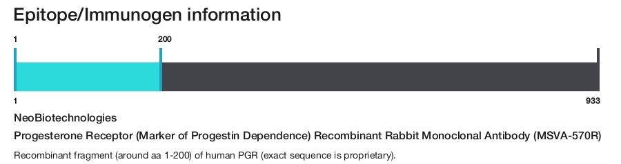 Progesterone Receptor (Marker of Progestin Dependence) Recombinant Rabbit Monoclonal Antibody (MSVA-570R)