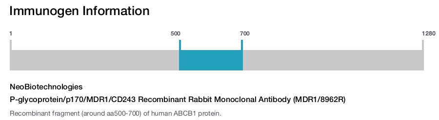P-glycoprotein/p170/MDR1/CD243 Recombinant Rabbit Monoclonal Antibody (MDR1/8962R)